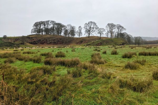 Burton Marsh